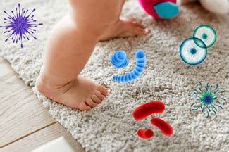 Transforming Your Carpets with the Magic Carpet Cleaner: Before and After
